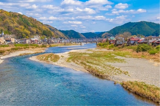 奈良の吉野川湧水を使用した 無農薬水耕栽培の発芽にんにく
